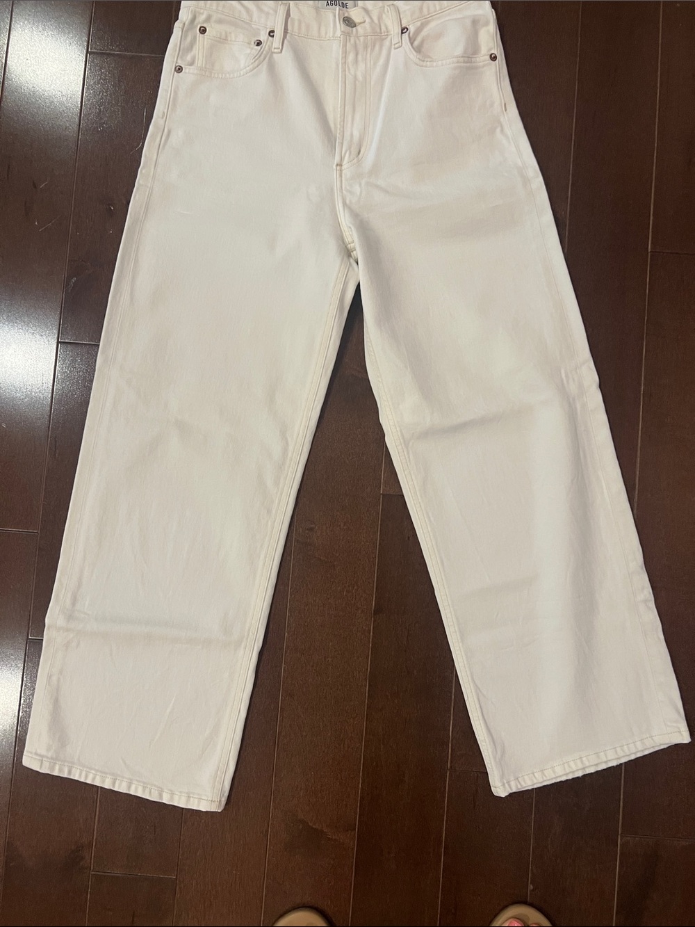 AGOLDE Ren high waist wide leg jean
